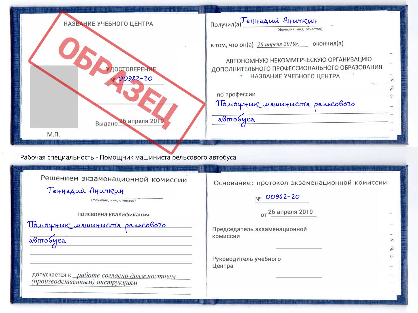 Помощник машиниста рельсового автобуса Щёкино