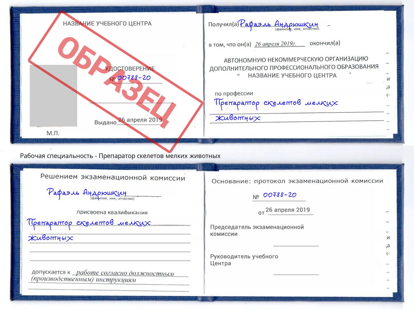 Препаратор скелетов мелких животных Щёкино