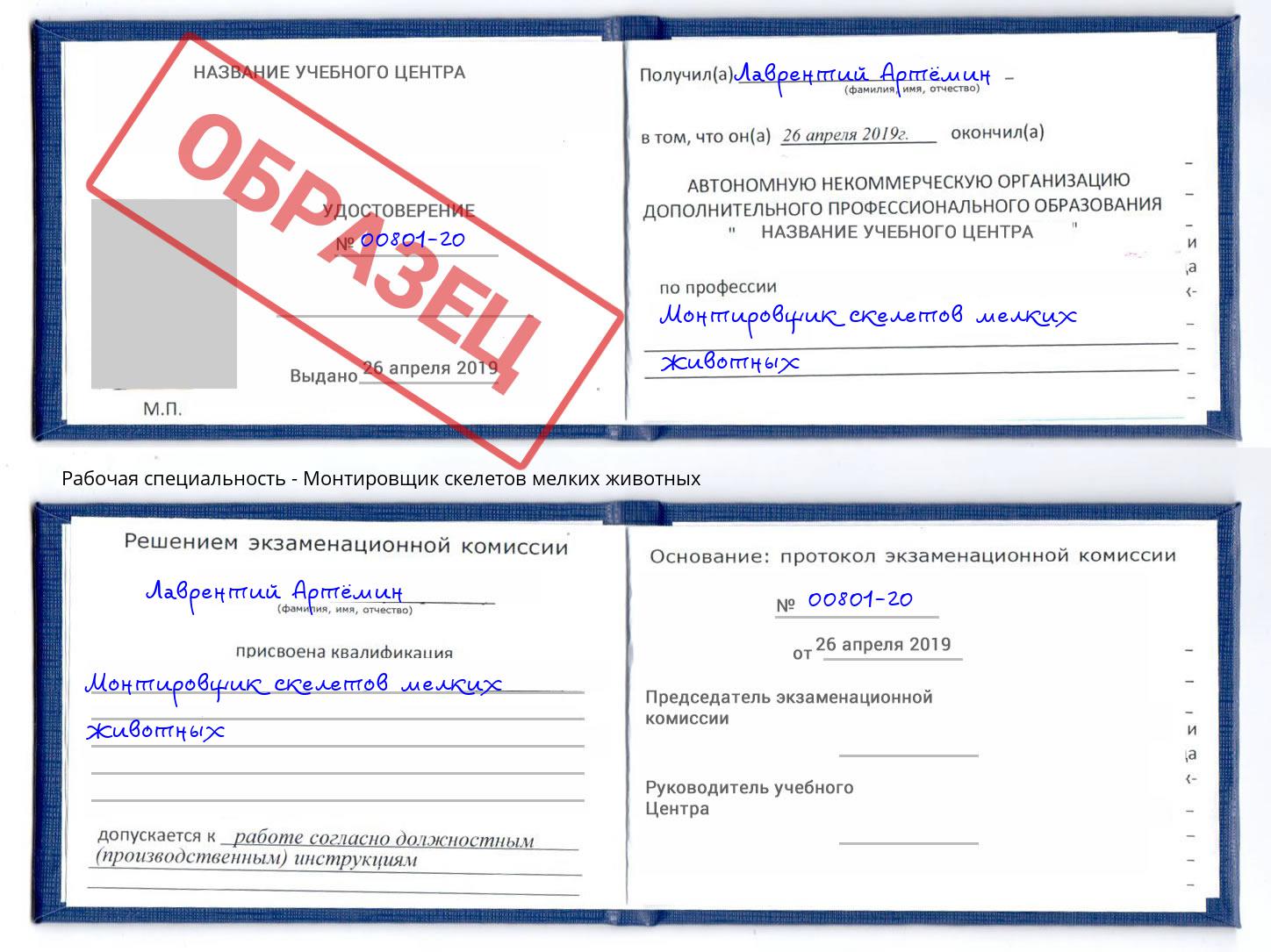 Монтировщик скелетов мелких животных Щёкино