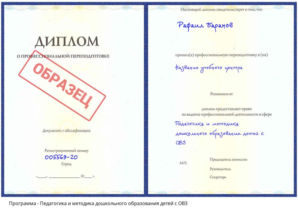 Педагогика и методика дошкольного образования детей с ОВЗ Щёкино