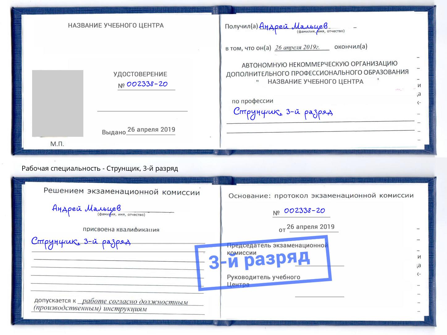 корочка 3-й разряд Струнщик Щёкино