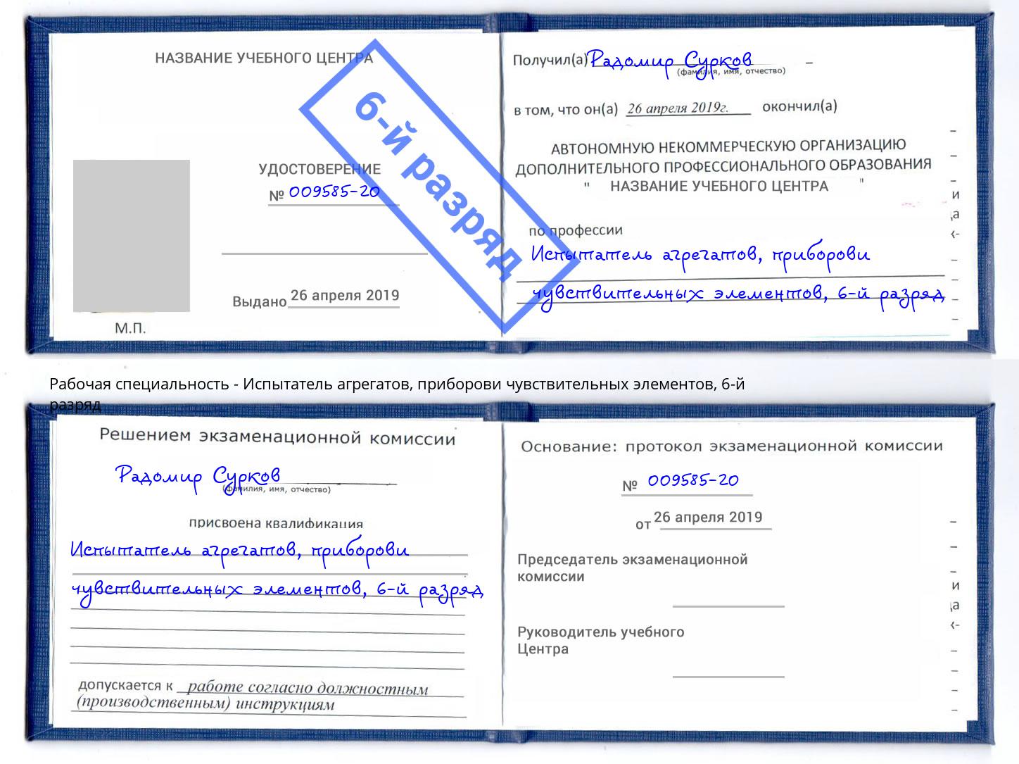 корочка 6-й разряд Испытатель агрегатов, приборови чувствительных элементов Щёкино