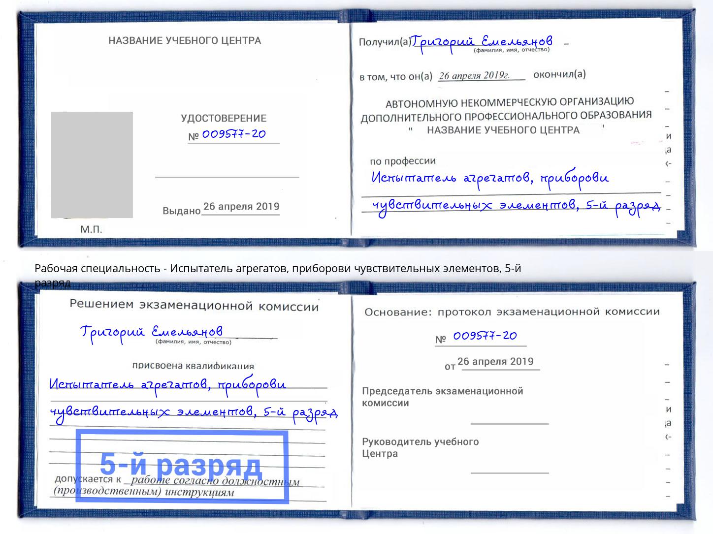 корочка 5-й разряд Испытатель агрегатов, приборови чувствительных элементов Щёкино