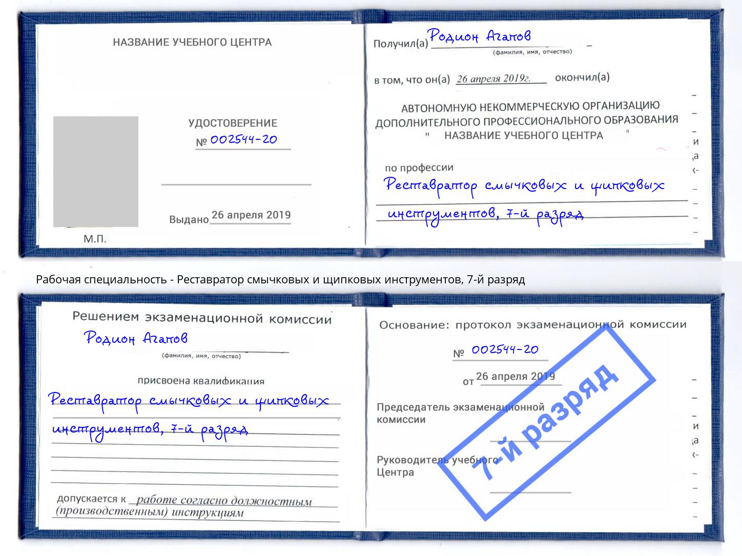 корочка 7-й разряд Реставратор смычковых и щипковых инструментов Щёкино