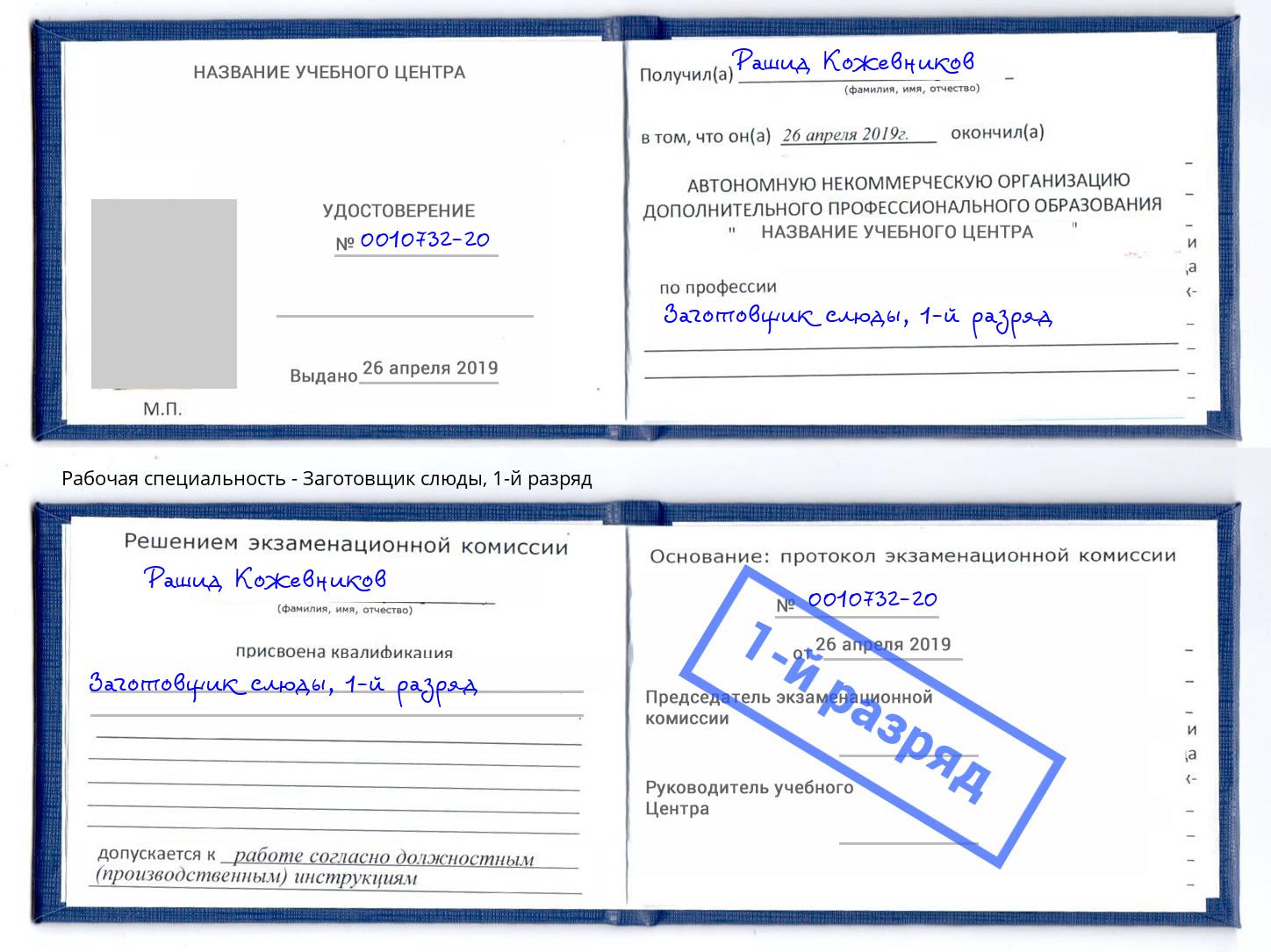 корочка 1-й разряд Заготовщик слюды Щёкино