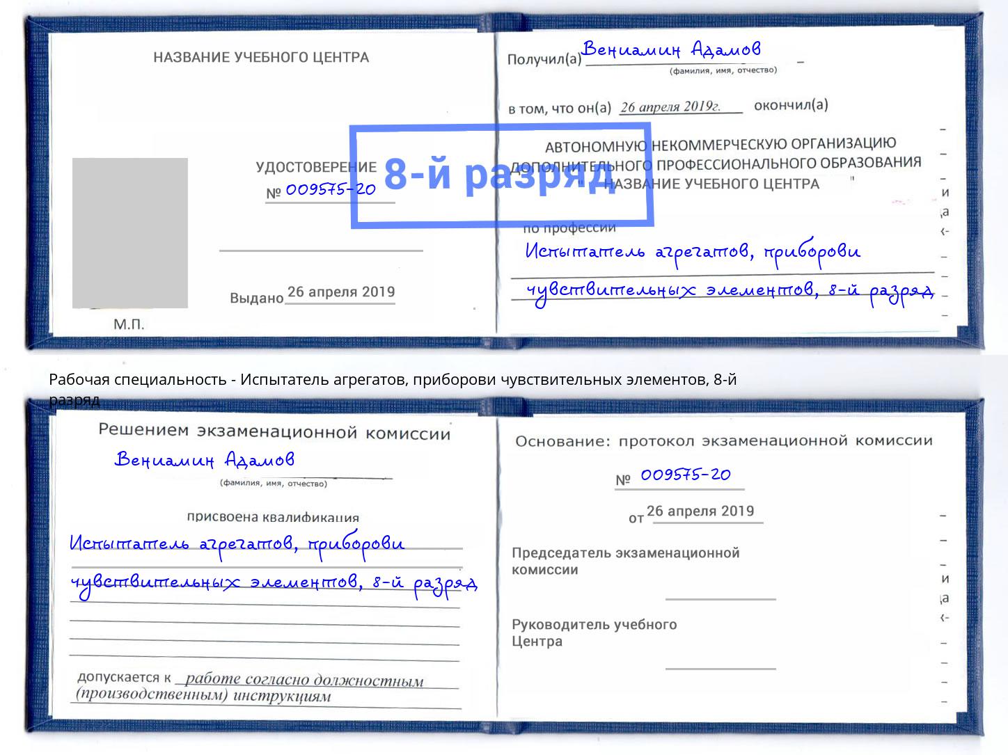 корочка 8-й разряд Испытатель агрегатов, приборови чувствительных элементов Щёкино